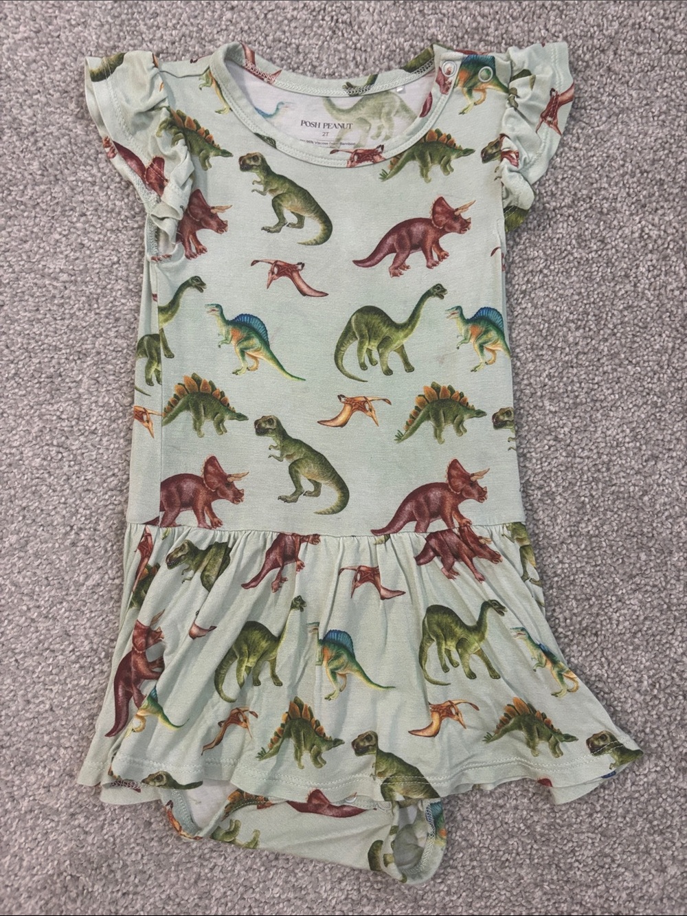 Posh Peanut Mint Green Dinosaur Ruffle Dress with Multicolor Dinosaurs